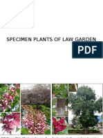 Law Garden
