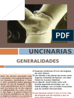 Uncinarias