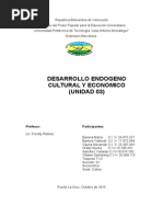 Desarrollo Endogeno