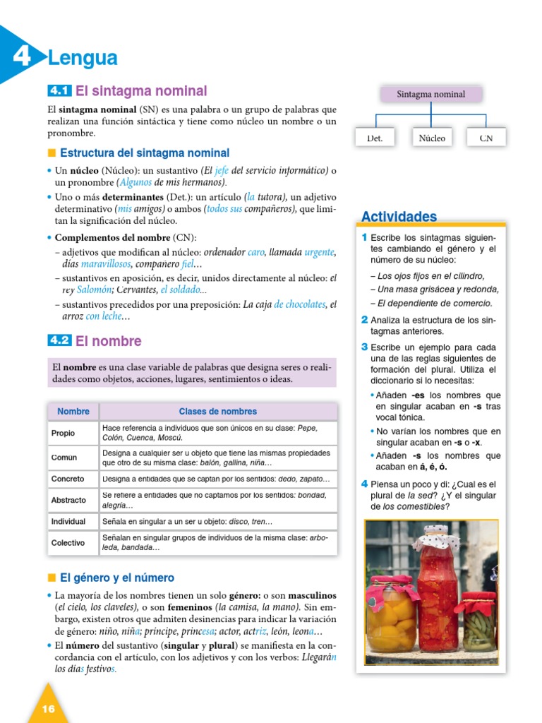 Estructura y tipos de sintagmas nominales | PDF | Sustantivo | Numero ...