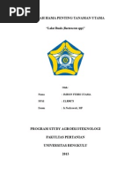 Download Lalat Buah by Imron Febri Utama SN283822018 doc pdf