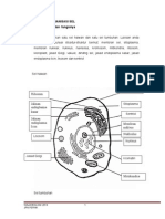 Latihan 2.2 Organel Dan Fungsi PDF