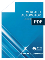 Informe Mercado Automotor Junio 2015