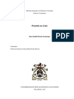 Prurido em Gatos PDF
