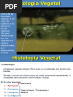 Histologia e Organologia Vegetal