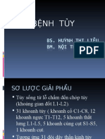 BENH TUY_2.ppt