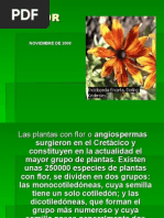 La Flor