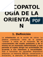 Psicopatología de La Orientación