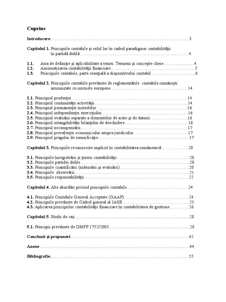 Principii Contabile | PDF