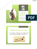 Martillo de Siete Puntas PDF