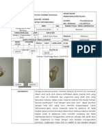 Lembar Deskripsi Makropaleontologi