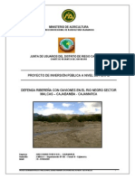 perfil defensa-riberena-gaviones-rio-negro.pdf