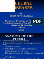 k16 - Pleural Diseases 2008