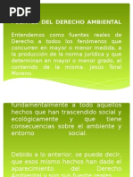 Fuentes Del Derecho Ambiental Diapositivas -Irma
