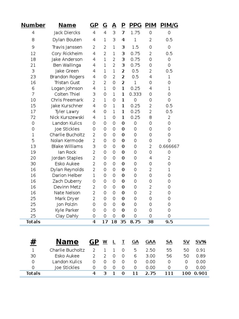 Player Stats and Performance Summary | PDF
