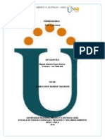 Fase 1 Individual