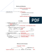 Protocolo HDA