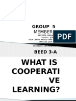 What Is Cooperative Learning Semi