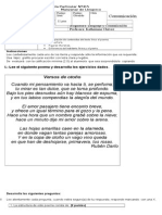 Evaluación Lenguaje y Comunicación 5° y 6° básico