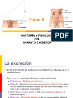 Aparato Excretor