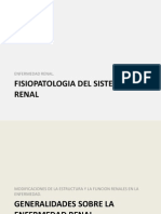 Fisiopatologia Renal PDF