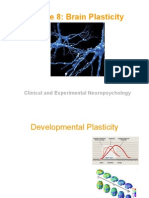 Lecture 10 Plasticity