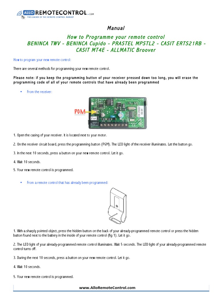 Beninca Remote Control Programming Guide | PDF