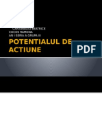 Potentialul de Actiune