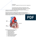 Kelainan Katup Jantung