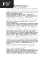 Gabarito Homem Ao Máximo | PDF | Amor | Pecado