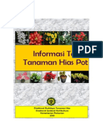 Informasi Teknis Tanaman Hias Pot