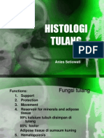 HISTOLOGI-TULANG