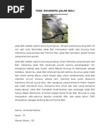 Download Teks Deskripsi Jalak Bali by anggito11 SN283953575 doc pdf