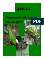 Lepidosauria 