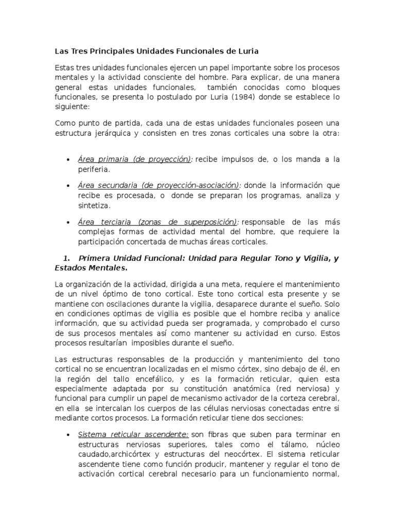 Tres Unidades Funcionales de Luria | PDF | Corteza cerebral | Corteza ...