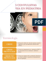 Epilepsia Pediatria Ibooks 130709063246 Phpapp02 PDF