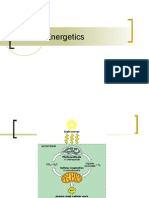 Cellular Energetics