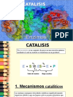 bioquimica-catalsiis