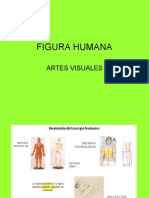 Figura Humana Proporciones 2c2bamedio