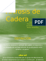 artrosis de cadera