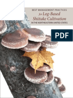 Shiitake Guide