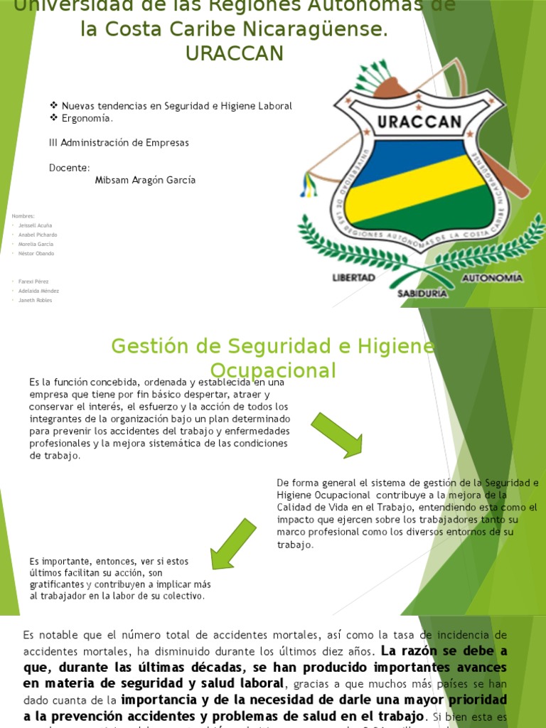 Seguridad e Higiene Laboral Actualizada | PDF | Factores humanos y ...