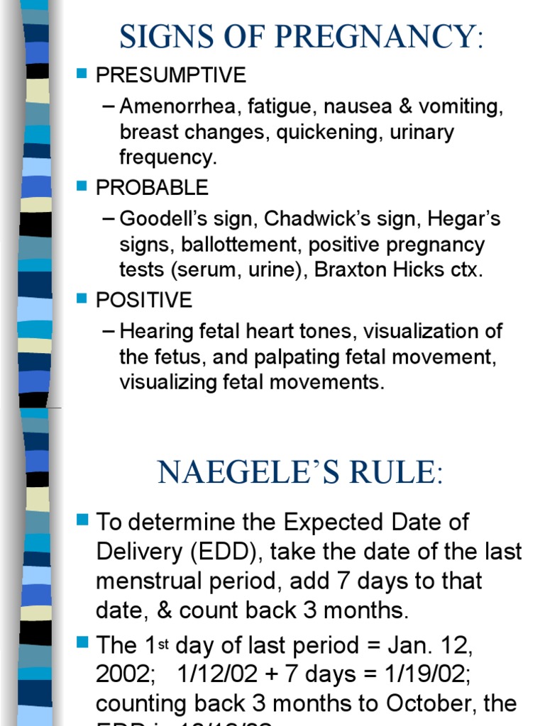 Anatomy Physiology Pregnancy | Pregnancy | Vagina