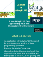 Labrat in Wileyplus: A New Wileyplus Question Type For Big Java and Java