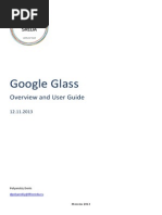 Google Glass: Overview and User Guide