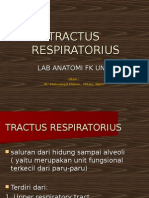 Tractus Respiratorius