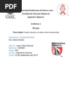 Evidencia 2 Ensayo.docx