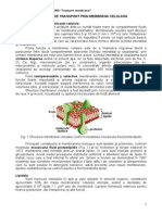 4 Transport Membranar MG