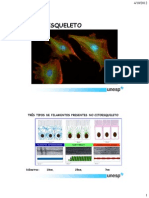 5cCitoesqueletoAula3.pdf