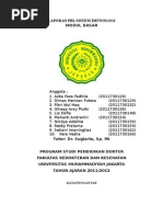 Download Laporan Pbl Sistem Imunologi by Kusuma Intan SN284056980 doc pdf